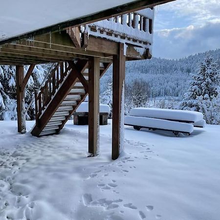 Chalet Situe Au Grand Valtin Villa Ban-sur-Meurthe-Clefcy Exteriör bild