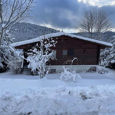 Chalet Situe Au Grand Valtin Villa Ban-sur-Meurthe-Clefcy Exteriör bild