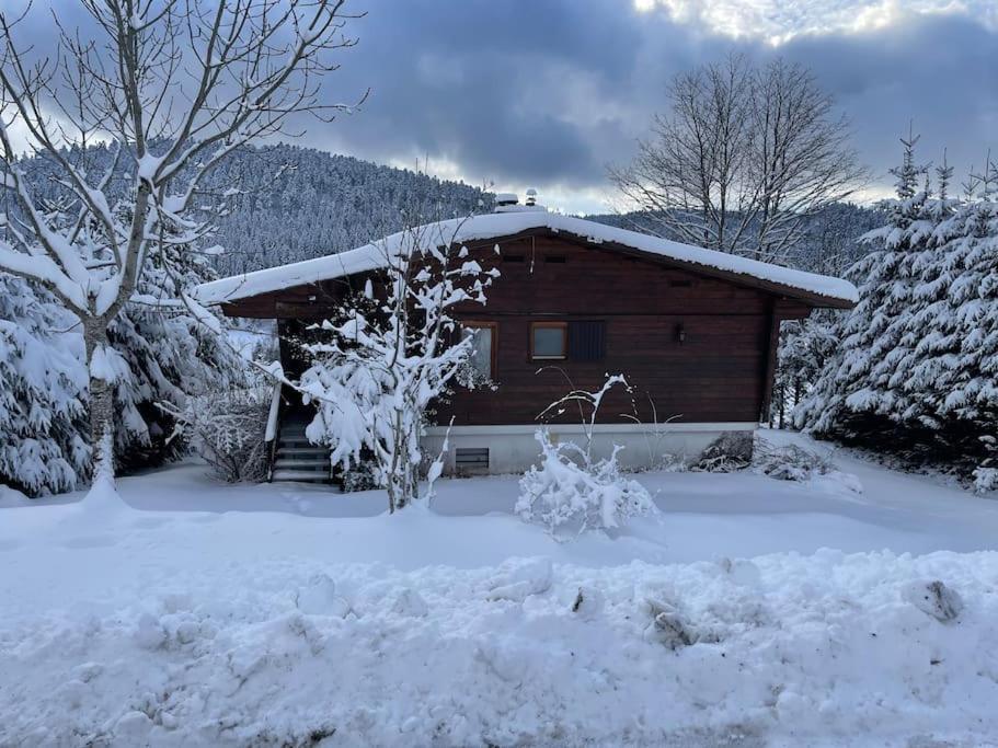 Chalet Situe Au Grand Valtin Villa Ban-sur-Meurthe-Clefcy Exteriör bild