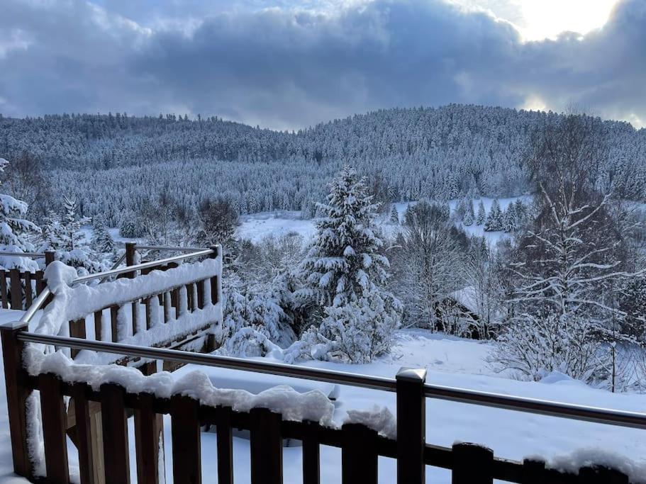 Chalet Situe Au Grand Valtin Villa Ban-sur-Meurthe-Clefcy Exteriör bild